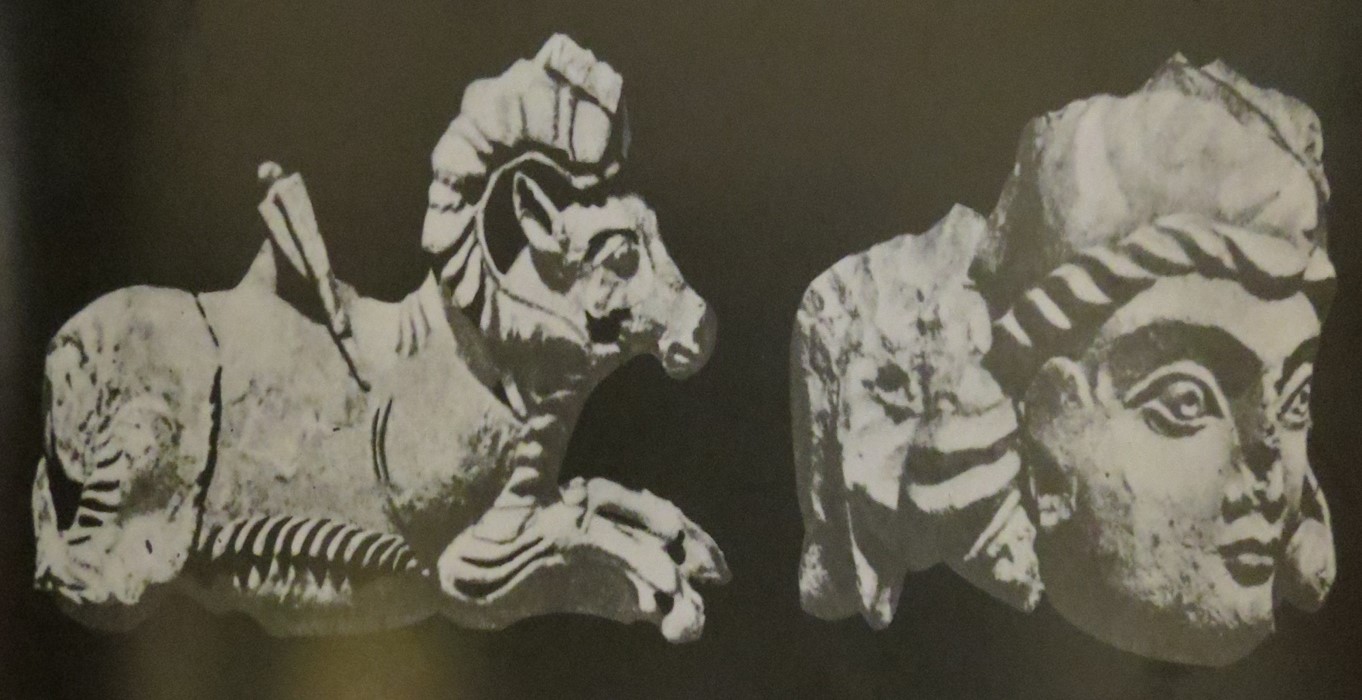 الف) سر یک زن – ب) قوچ