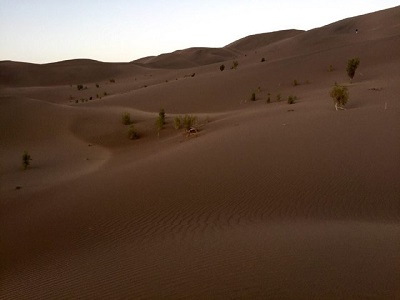 مطالعه‌ بیابان لوت و پوشش گیاهی این محوطه جهانی
