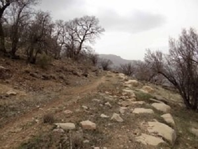 کشفیات جدید از مسیر تاریخی «راه شاهی»