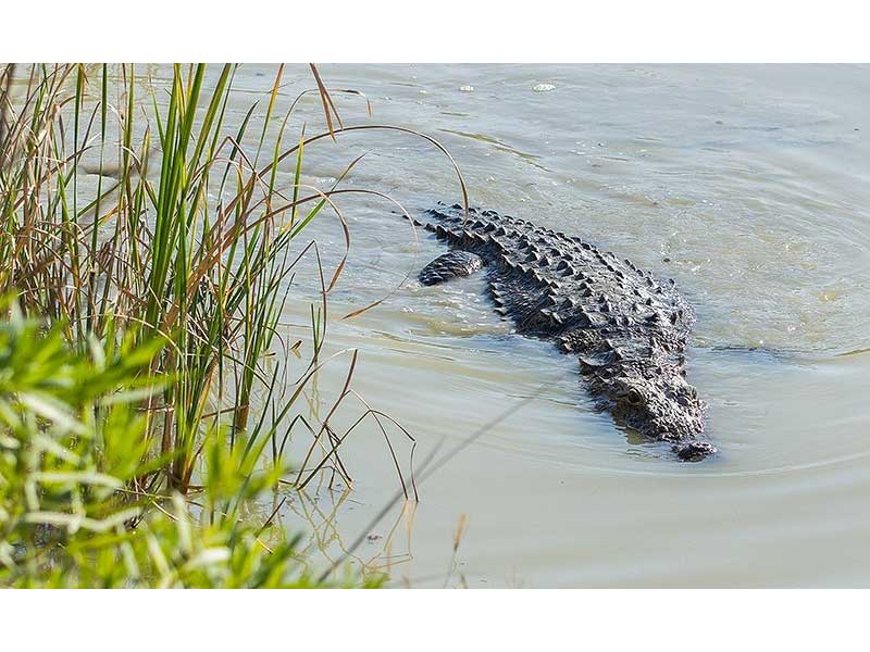 هجوم گاندوها به مناطق سیل‌زده بلوچستان صحت دارد؟