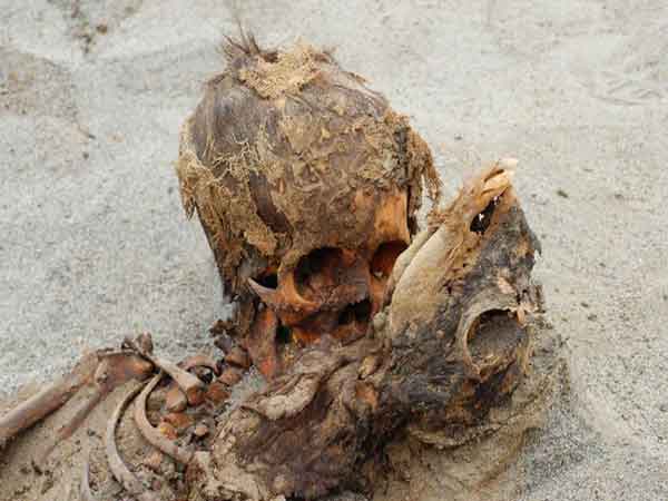 یک کشف باستان‌شناسی تکان‌دهنده در «پرو»