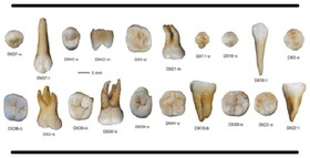 با پیدا شدن دندان‌های 80 هزار ساله، تاریخ بشر دوباره نوشته می‌شود؟