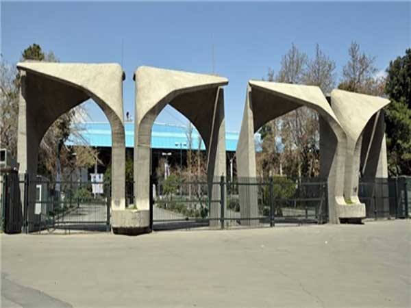 چیستی دانشگاه