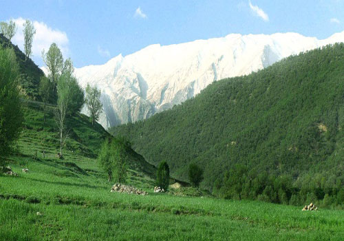 تنگ صیاد سبزکوه چهارمحال و بختیاری ثبت جهانی شد