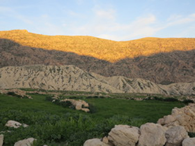 به این باستان‌شناس 200 سال زمان بدهید.