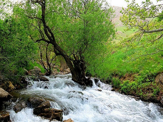 نهاوند شهر سراب‌ها ( 2- سراب فارسبان)