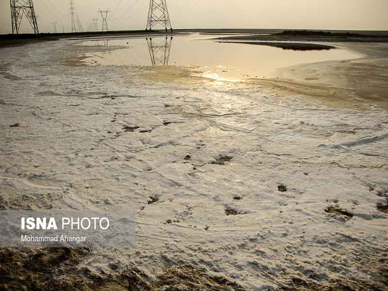 قسمت جنوبی تالاب "شادگان" خشک شده است 