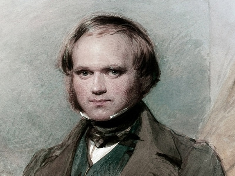 داروین (بخش چهارم: پایان سفر)