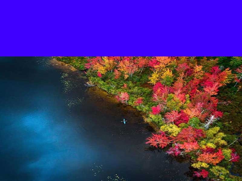 تاریخ ایالات متحده ‌آمریکا ( بخش پنجم: استقرار اروپاپیان؛ هـ- انگلیسی‌‌ها؛ هـ-4: نيوهامپشایر)