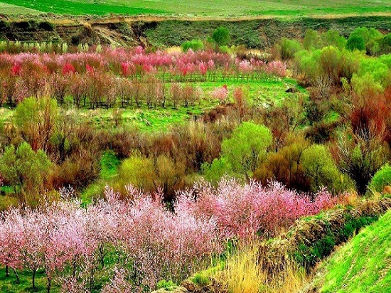 نهاوند شهر سراب‌ها ( 1- سراب ملوسان)