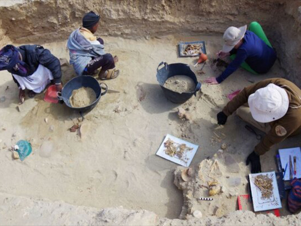 دارالکلات ایران، اولین فرصت رهایی یزد از فقر باستان‌شناسی