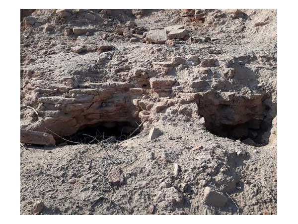 نفس‌کش طلبی قاچاقچیان گنج در روز روشن!