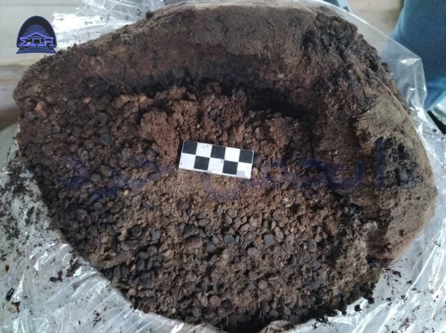 Remains of an amphora discovered
