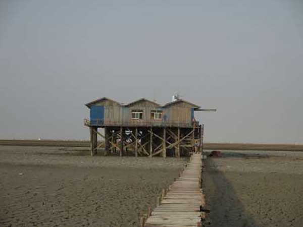 پیش‌بینی کاهش تراز آب دریاچه مازندران