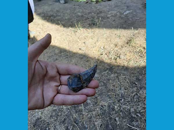 ایستگاه شکار تابستانی حیوانات گیاه‌خوار در دوره نئاندرتال‌ها