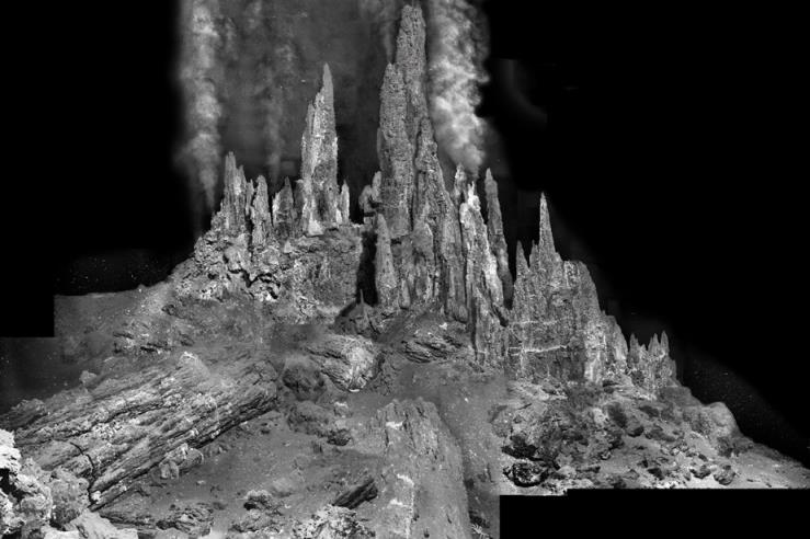 حیات اولیه در کجا شکل گرفت؟