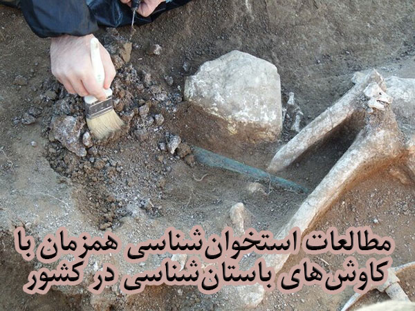 مطالعات استخوان‌شناسی همزمان با کاوش‌های باستان‌شناسی در کشور