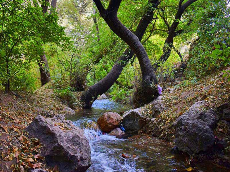 نهاوند شهر سراب‌ها ( 3- سراب گیان)
