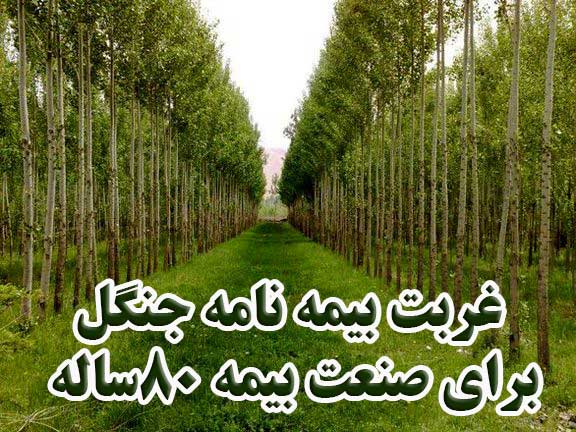 غربت بیمه نامه جنگل برای صنعت بیمه ۸۰ساله