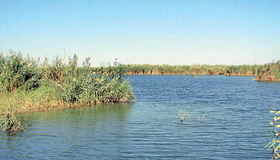 تالاب هورالعظیم قربانی چه شد؟ 