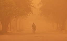 از بازار مکاره مهار ریزگردها و بارورسازی ابرها تا  مالچ زیستی