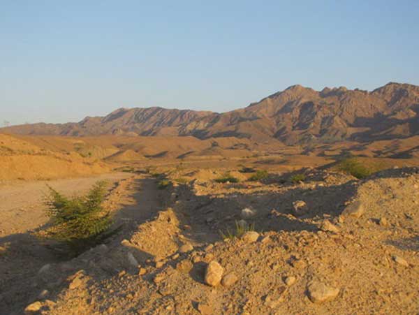 کشف سکونتگاه ۵۰ هکتاریِ دوره اشکانی در هرمزگان