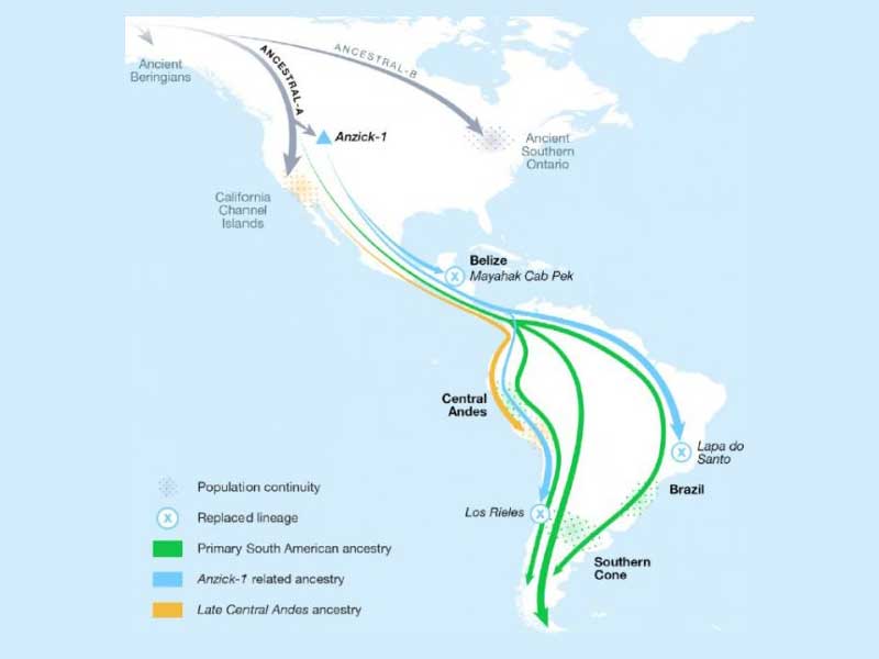  شواهد دی ان ای باستانی منجر به آشکار شدن دو مهاجرت ناشناخته از شمال به جنوب آمریکا شد