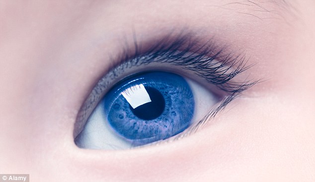 اجداد ما قادر به دیدن رنگ آبی نبودند!