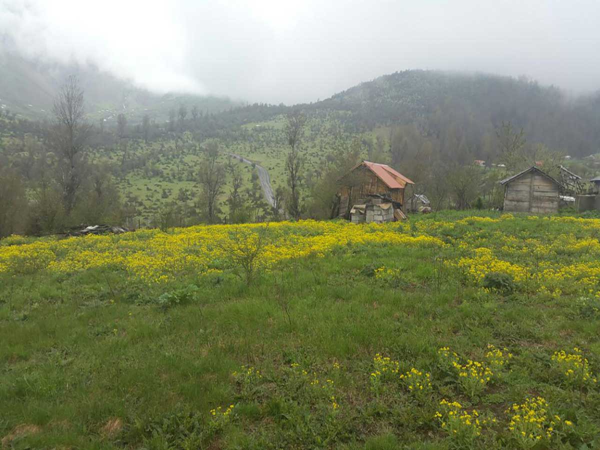  تاریخ گیلان فصل اول (بخش سوم: گیلان - گیلانیان و دیلم - دیلمیان)