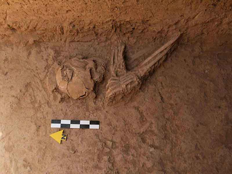 کشف فرهنگی ۷ هزار ساله در کله‌کوب آیسک خراسان جنوبی