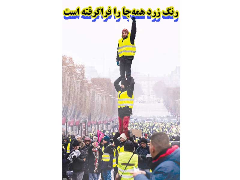 رنگ زرد همه‌جا را فراگرفته است.