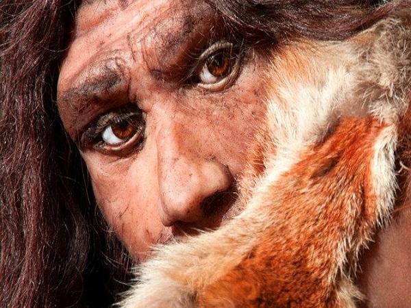 بشر از نئاندرتال­ ها باهوش­ تر نبود؛ ما فقط توانستیم زنده بمانیم!