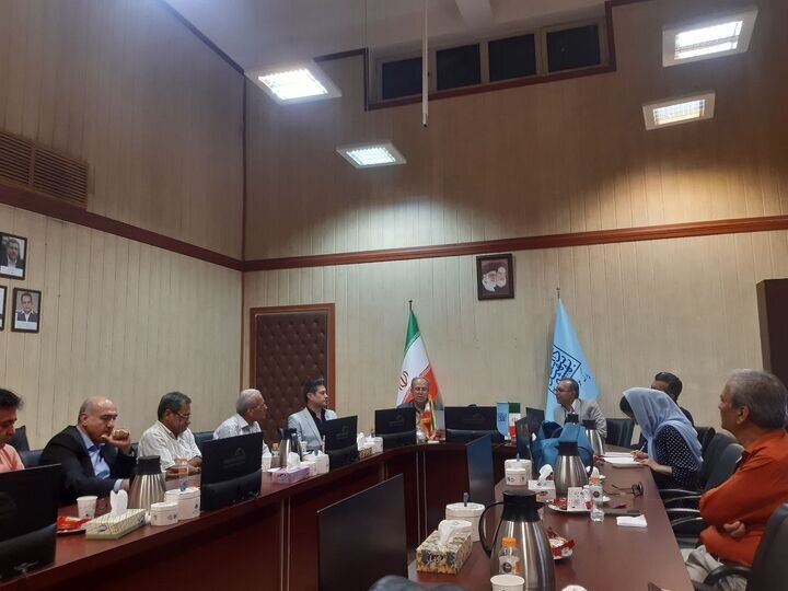 راه‌اندازی انجمن شهاب‌سنگ ایران؛ گامی برای ساماندهی علم و اکتشاف