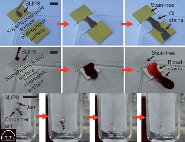 الهام از عملکرد گیاهان گوشتخوار 